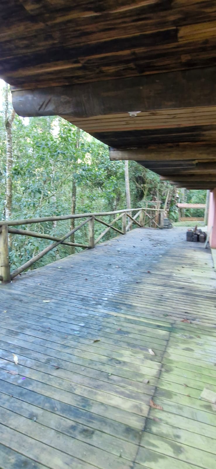 Trilha de acesso ao chalé no Sertão do Ubatumirim Ubatuba